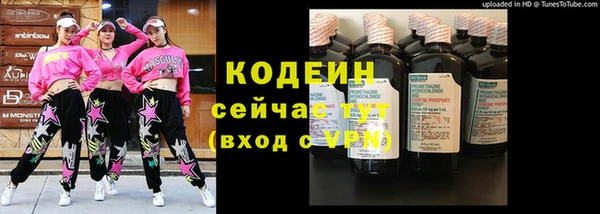 прущие грибы Пересвет