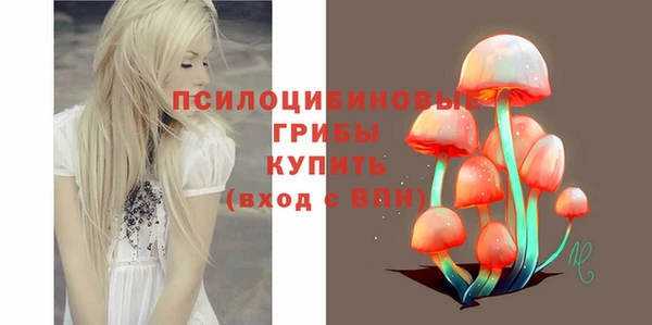 прущие грибы Пересвет