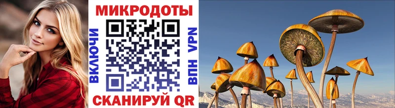как найти закладки  Саянск  blacksprut сайт  Галлюциногенные грибы мухоморы 